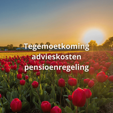 Werkgevers krijgen € 555 tegemoetkoming voor pensioenadvies